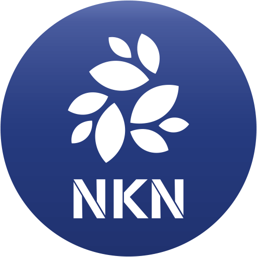 NKN 3X Long (NKN3L) information
