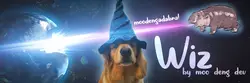 Wiz এর প্রাইস প্রেডিকশন