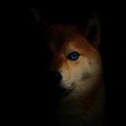 Underdog-hintaennuste