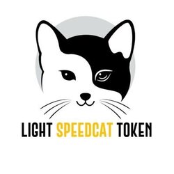 Light Speed Cat