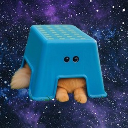 cat in stool koersverwachting