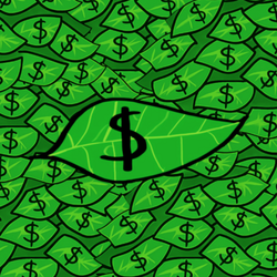 Monkey Currency Qiymət Proqnozu