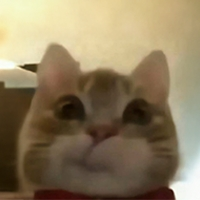 JEFF Price Prediction