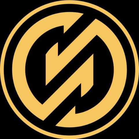 Logo GoldZip